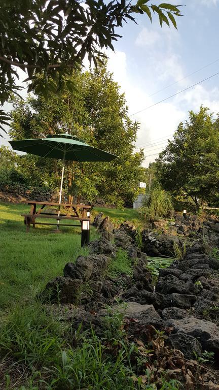 Supgol Private House Villa Jeju Bagian luar foto