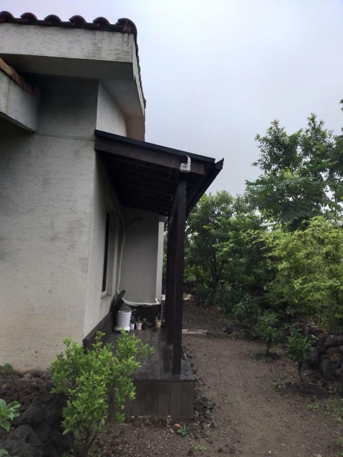Supgol Private House Villa Jeju Bagian luar foto
