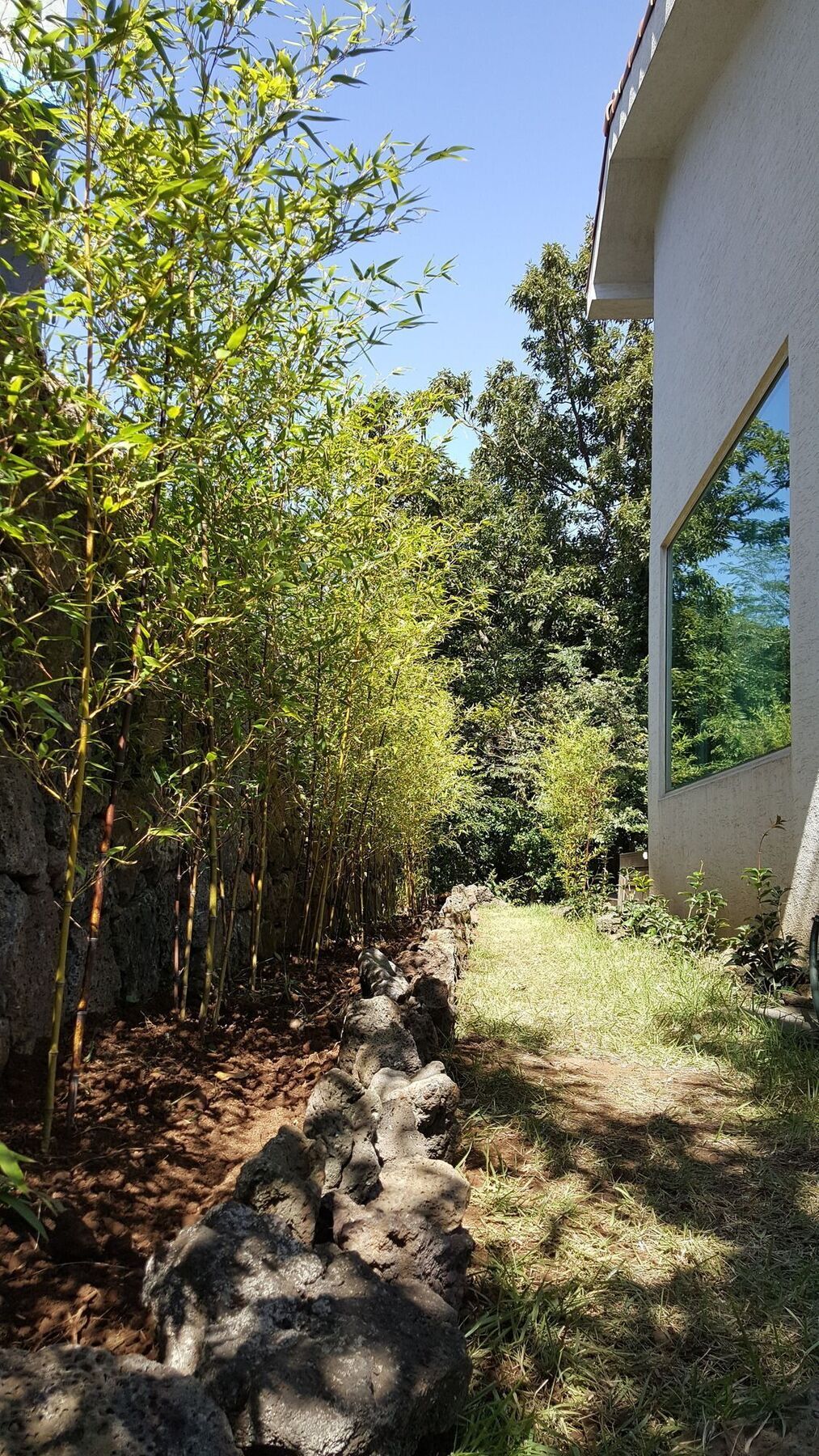 Supgol Private House Villa Jeju Bagian luar foto