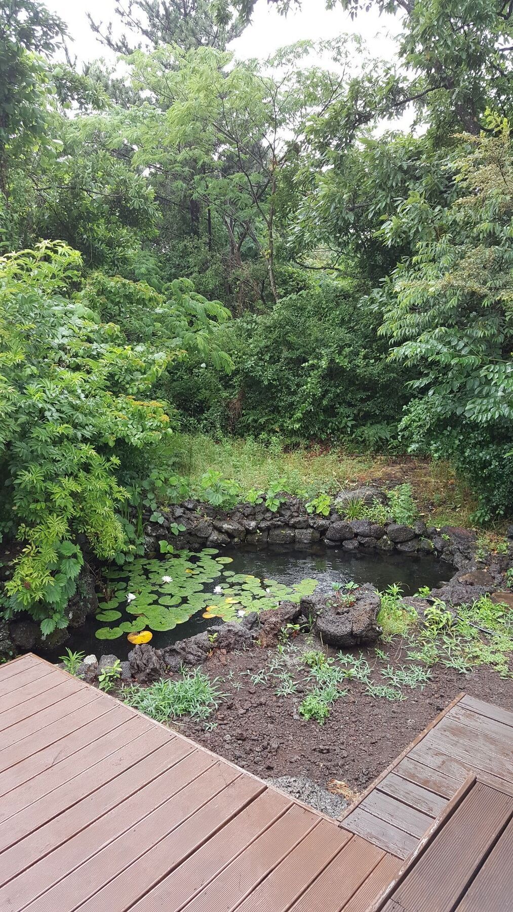 Supgol Private House Villa Jeju Bagian luar foto