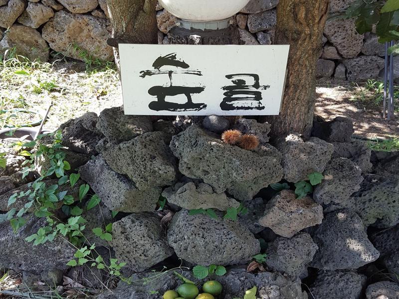 Supgol Private House Villa Jeju Bagian luar foto