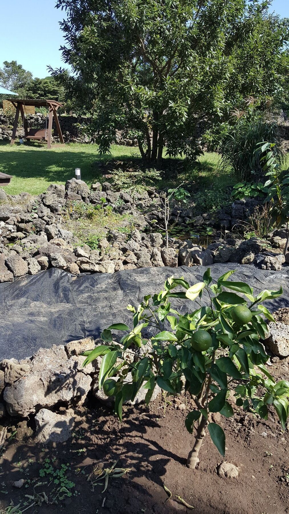 Supgol Private House Villa Jeju Bagian luar foto