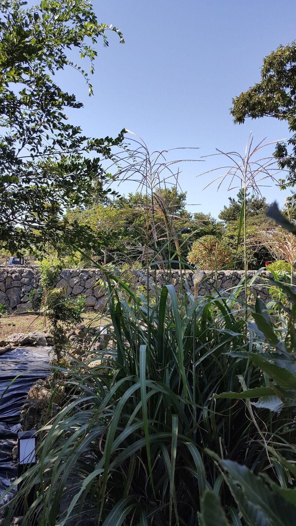 Supgol Private House Villa Jeju Bagian luar foto